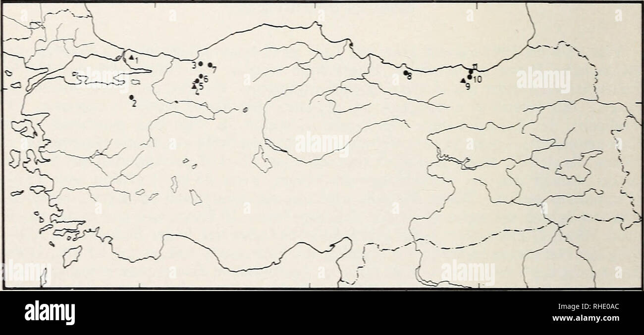 . Bonner zoologische Beiträge: Herausgeber: Zoologisches Forschungsinstitut und Museum Alexander Koenig, Bonn. Biologie; Zoologie. 420 E. Kivanc 3; r. - R::::r del wurden 23 Maße genommen, außerdem wurde die Länge und Breite der oberen und unteren Molaren gemessen. Alle Maße in mm. Die Farbbeschreibungen orientieren sich ein ridgway (1912). Zum Vergleich mit dem türkischen Material standen Haselmäuse aus der Sammlung des Museums Alexander Koenig und aus der Sammlung von Prof. Dr. J. Niethammer, Bonn, zur Verfügung. Dieses Material repräsentiert folgende Unterarten: Muscardinus avellanarías Ave Stockfoto