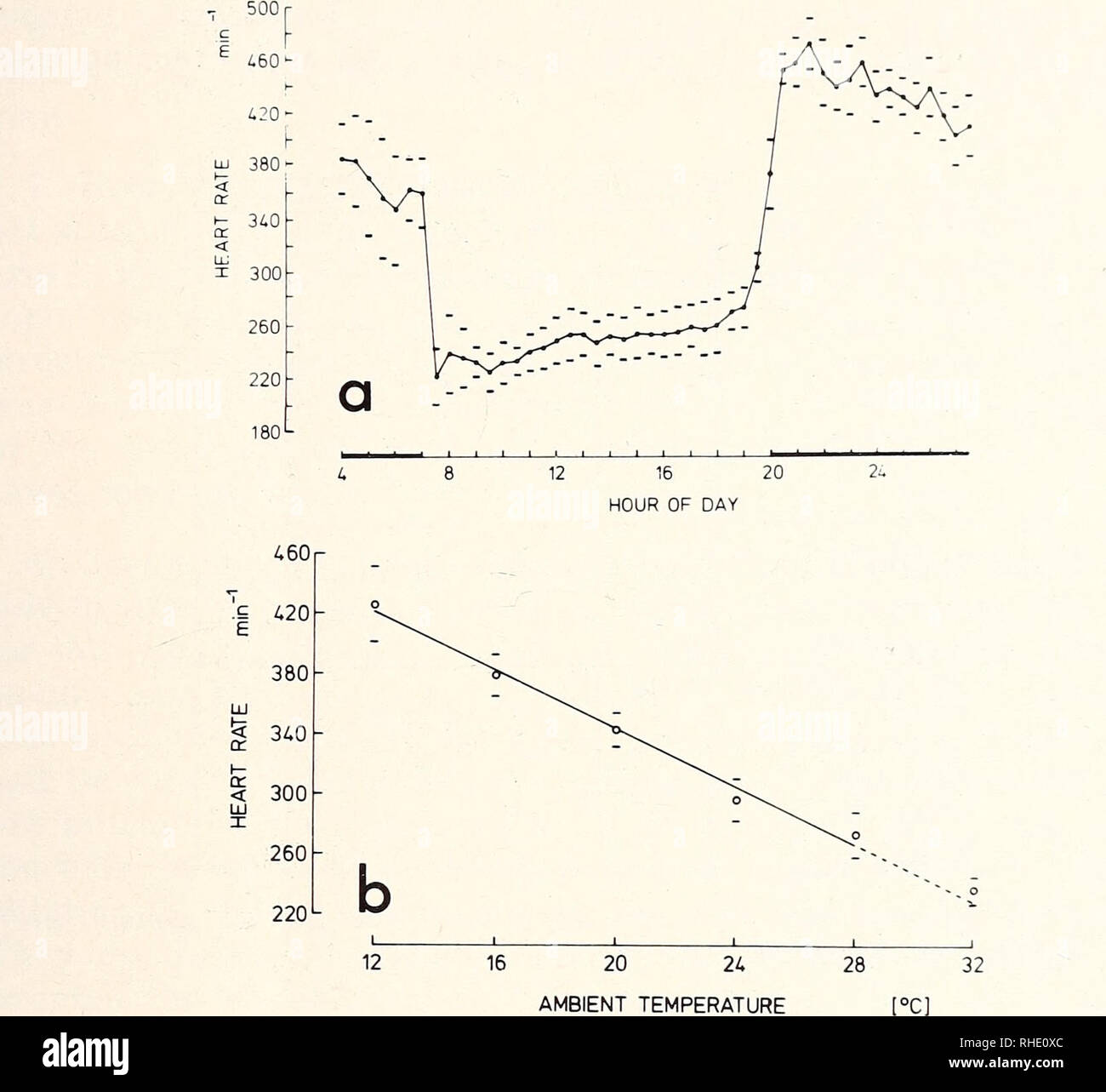 . Bonner zoologische Beiträge: Herausgeber: Zoologisches Forschungsinstitut und Museum Alexander Koenig, Bonn. Biologie; Zoologie. Heft 3 - 4 30/1979 Ökologie und Palette von Rousettus 263. Abb. 25: (a) die täglichen Herzfrequenz in 5 Erwachsener Rousettus aegyptiacus durch Telemetrie (akklimatisierung bei 30^C, Body Mass 145g) bei halber stündlich mindestens 5 Tage gemessen. Fotoperiode 13 L: 11 D, 10 lx: 1 Mix, L 07.00 - 20.00. Von Noll 1979 angepasst. (B) Verhältnis der Herzfrequenz in der Ruhephase (RHR) der Umgebungstemperatur (Ta) in warmen akklimatisiert Fledermäuse (akklimatisierung bei 30°C, Gewicht 137g). Die Gleichung für die Methode der kleinsten Quadrate Stockfoto