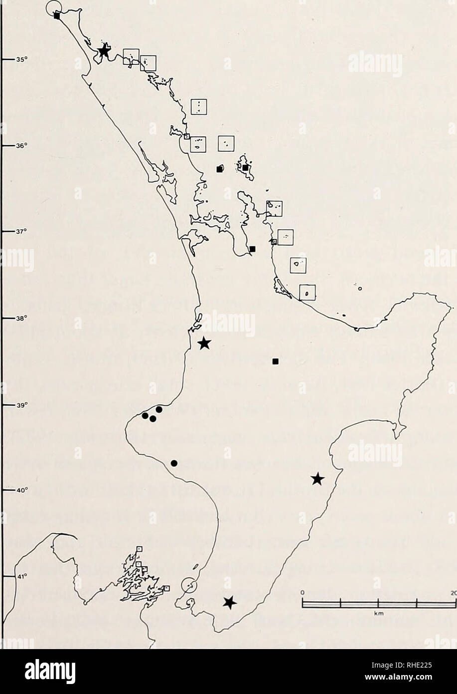 . Bonner zoologische nach 1550. Zoologie. 109 1955 Hoplodactylus duvauceli McCann. Dominion Mus. Bull. 17:39; pi. 3 (Abbn. 1 - 7), Abb. 3. (Nomen emendatum pro Hoplodactylus duvaucelii (Dumeril & Amp; Bibron, 1836)). 1956 Hoplodactylus duvaucelii Stephenson & Amp; Stephenson. Trans. Roy. Soc. Neuseeland 84:341 und Feigen. 1 B, C 2 B, C, 3B, 6A, D, E. 1961 Naultinus duvauceli Chraphwy et al. Herpetologica 17:7. 1961 Hoplodactylus duvaucelii Myers. Herpetologica 17:171. 1966 Hoplodactylus duvauceli Sharell. Die Tuatara, Eidechsen und Frösche von Neuseeland: 49; pis. 28, 29, 30, 31. 1967 Hoplodactylus duvaucel Stockfoto