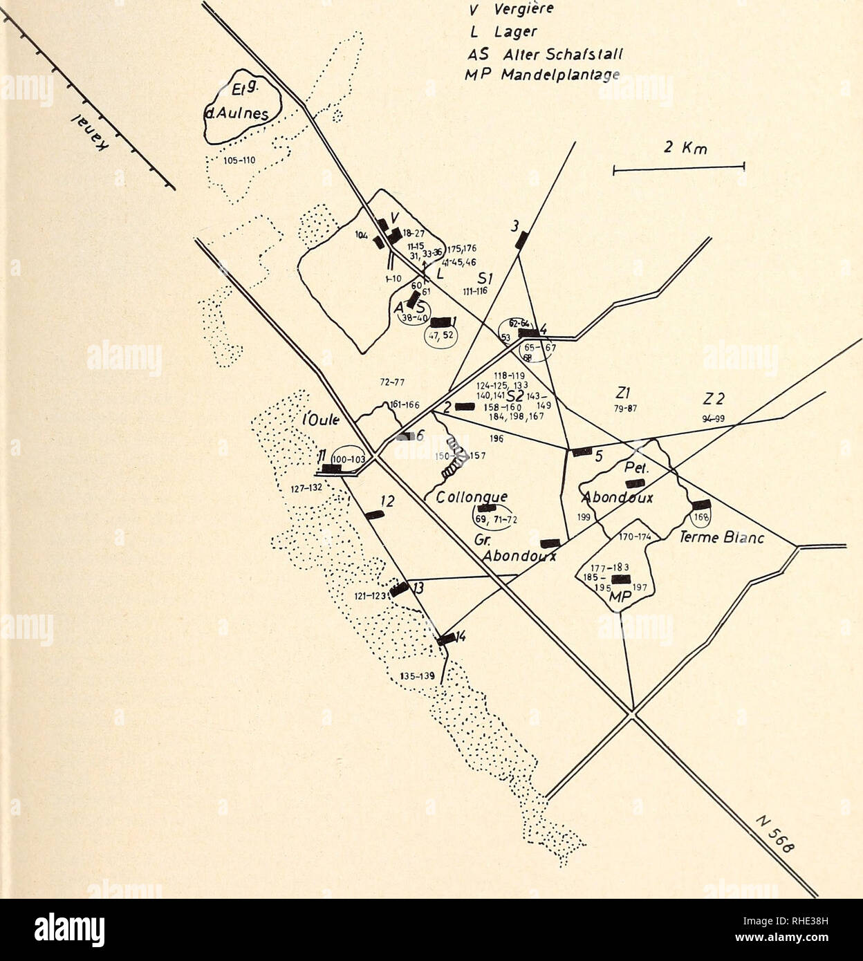 . Bonner zoologische Beiträge: Herausgeber: Zoologisches Forschungsinstitut und Museum Alexander Koenig, Bonn. Biologie; Zoologie. Heft 1/2 16/1965 Wirbeltiere der Crau, Südfrankreich 117 Maulwurf (Talpa europaea) der EU. sterben Nummern-oper erbeuteten Tiere stammen von den Wiesen in A, B und C deutet nichts auf ein Vorkommen of this Kunst hin; der Boden ist dort auch zu hart und trocken zum Graben. Zwergfledermaus Pipistrellus pipistrellus (s.) In einem konnten wir abends zahlreiche Fledermäuse beobachten, sterben auch am Rande von C jagten. Hier fing sich auch das einzige Tier der Sammlung in Japan-Netz. T Stockfoto