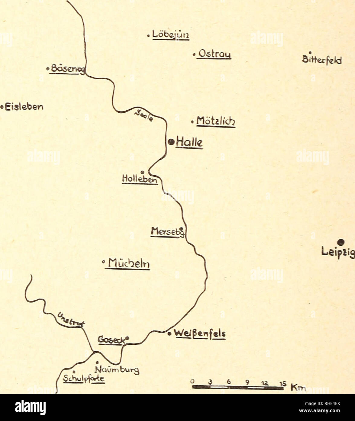 . Bonner zoologische Beiträge: Herausgeber: Zoologisches Forschungsinstitut und Museum Alexander Koenig, Bonn. Biologie; Zoologie. 106 W. Schober Bonn, zool. Die anderen Beitr von Schulze erwähnten Arten waren bis in Pipistrellus nathusii nach den Angaben von taschenberg in der Sammlung des Zoolo-gischen Institute Halle noch vorhanden und stammen zum Teil aus den ersten Jahrzehnten des vorigen Jahrhunderts. Gegenwärtige Artenzusammensetzung in den letzten 10 Jahren konnten Nonne im mitteldeutschen Raum 11 Arten festgestellt werden. Neben den ::, die ich in den vergangenen Jahren fand, wur Stockfoto