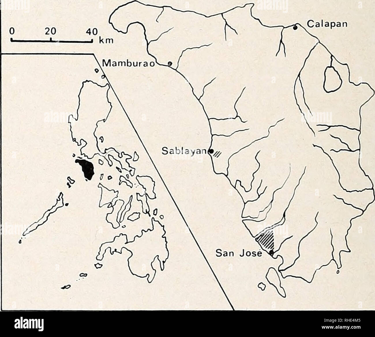 . Bonner zoologische Beiträge Herausgeber Zoologisches