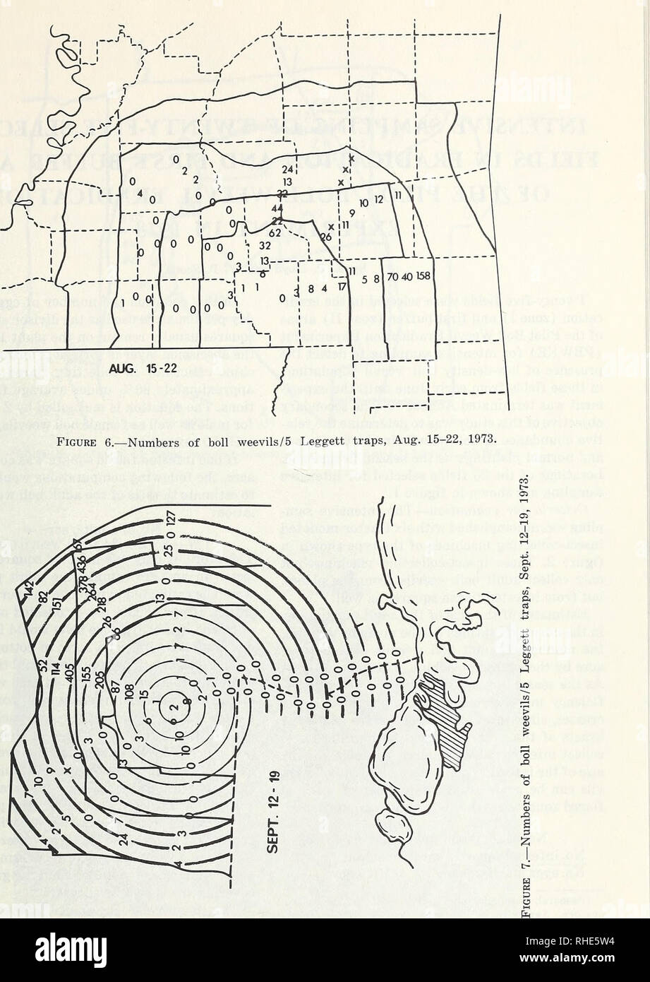 . Boll rüsselkäfer Unterdrückung, Verwaltung und Beseitigung Technologie: Verfahren der Konferenz, Februar 13-15, 1974, Memphis, Tennessee. Boll Rüsselkäfer, Kontrolle, Kongresse. 107. Bitte beachten Sie, dass diese Bilder sind von der gescannten Seite Bilder, die digital für die Lesbarkeit verbessert haben mögen - Färbung und Aussehen dieser Abbildungen können nicht perfekt dem Original ähneln. extrahiert. I. in der Forschung auf Boll Rüsselkäfer Unterdrückung und Beseitigung Technologie und II. Boll Rüsselkäfer Bewirtschaftung und Eliminierung Strategien (1974: Memphis, Tennessee); in den Vereinigten Staaten. Landwirtschaftliche Forschung Service. So Stockfoto