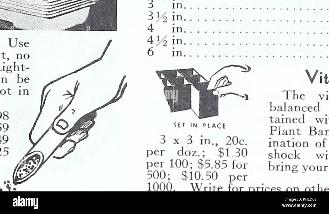 . Bolgiano's Spring 1970. Baumschulen (Gartenbau) Kataloge, Leuchtmittel (Pflanzen); Samen Kataloge Kataloge Kataloge; Gemüse; Gartengeräte und Zubehör Kataloge. 3 in. 4 in. 5 in. 6 in. 7 in. 8 in. Ton Untertassen jedes Doz. $ 1 45 1 80 2 75 3 60 5 50 7 20 Bird Kunststoff Töpfe Jede n $ 0 03 04 05 Die perfekte Samen flach. Verwenden Sie Jahr für Jahr. Kein Rost, kein rot, kein Bild. Leicht, robust und können ineinander verschachtelt werden, wenn nicht in Gebrauch. 22 x 11 x 23 ich in.. . $ 1 98 8 X 12 X 2?^ 59 8 X 8 X 2^4 in 49 4 x8 x 21^25 Aluma-Tool Sauen jeden kleinen Samen-dis auch Beitrag über das Einpflanzen. Auch für Lift verwendet Stockfoto