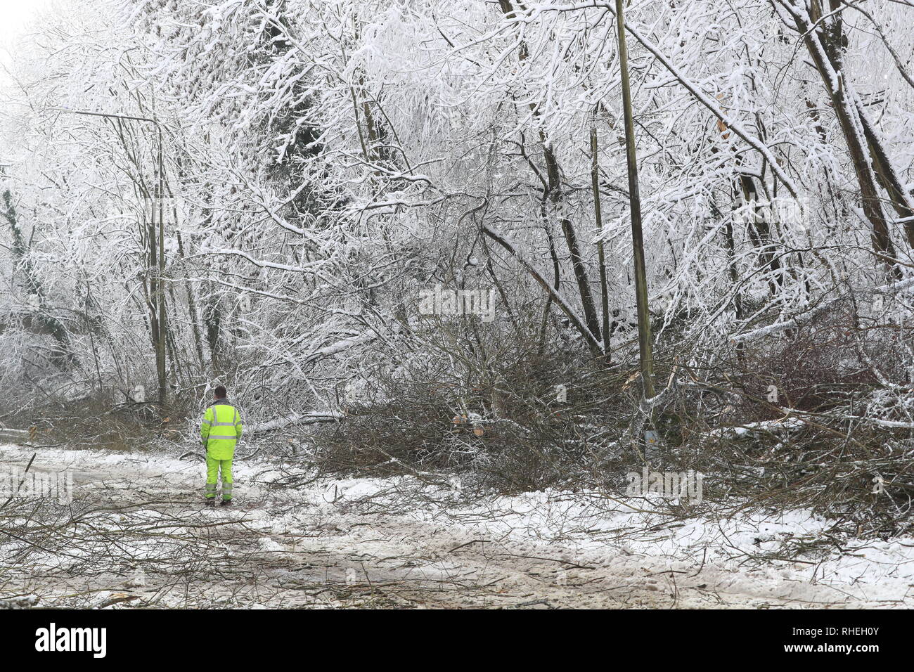 Bäume hat durch das Gewicht der Schnee sind von Walderslade Woods Road, in Walderslade, Kent, von der erwartet wird, dass sie das ganze Wochenende geschlossen werden gelöscht. Autofahrer wurden für eine zweite Nacht gestrandet als schweren Schnee bedeckten Straßen und Das winterliche Wetter Verkehr zum Stillstand gebracht. Schneeregen und Schnee setzte in den frühen Morgenstunden des Samstag Morgen auf Autobahnen über Kent und Hampshire, und verursacht gefährliche Bedingungen. Stockfoto