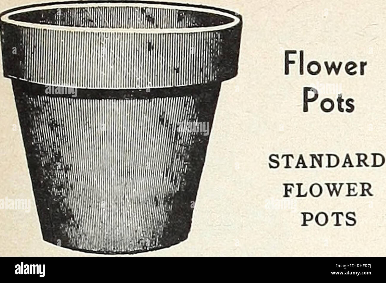. Bolgiano in Capitol City Seeds: 1963. Baumschulen (Gartenbau) Kataloge, Leuchtmittel (Pflanzen) Kataloge Kataloge; Gemüse; Garten Werkzeuge Kataloge; Samen Kataloge. Gute Handwerker schätzen Bolgiano die getesteten Tools Blumentöpfe. Im Inneren jedes Lnicnt nicisu. Doz. 100 3 m 0 $ 07 $ 0 78 $ 4 50 4 m 10 1 15 7 25 5 18 1 95 12 90 6 m 26 2 85 18 95 7 m 40 4 40 27 20 8 m56 6 10 10 39 10 9 1 05 11 55 78 20 10 m1 40 15 40 105 40 Untertassen jedes Doz. 100 3 m10 08 0 85 $$ 5 10 4 m 11 1 20 7 85 5 15 1 65 10 55 6 24 2 60 16 15 7 27 3 00 19 90 8 39 4 20 26 20 9 53 5 80 37 60 10 80 8 80 56 65 6 An der Doz. Ratte Stockfoto