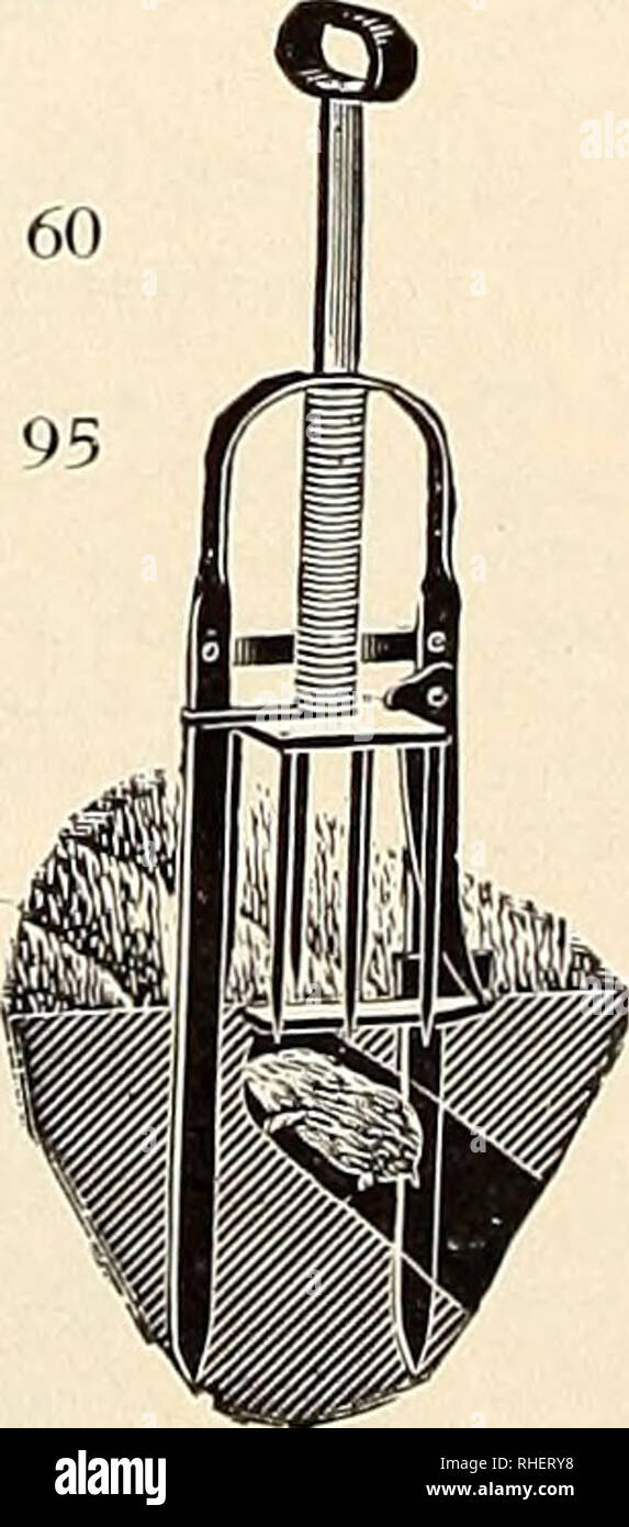 . Bolgiano in Capitol City Seeds: 1889 - 1950. Baumschulen (Gartenbau) Kataloge, Leuchtmittel (Pflanzen) Kataloge Kataloge; Gemüse; Garten Werkzeuge Kataloge; Samen Kataloge. Finger Weeder $ 0 25 25 Stahl Stahl schmal 25 Schwere geschmiedete 1 35 Kelle 1 35 Aluminium 60 Hole-in-one 75 Rasen Jät- Johnson Nr. 2500 $ 0 60 Langer Griff Rasen Weeder Hoe. 38-Zoll-Griff 95 Mole Fallen der Maulwurf verursacht große Verlust und Ärgernis für Züchter und Markt gar-deners. Eine Mole kann der Verlust eines ganzen Samen in ein paar Stunden führen. Ein Maulwurf Falle fangen und sie zerstören. Wir garantieren diese Fallen zufriedenstellend zu arbeiten Stockfoto