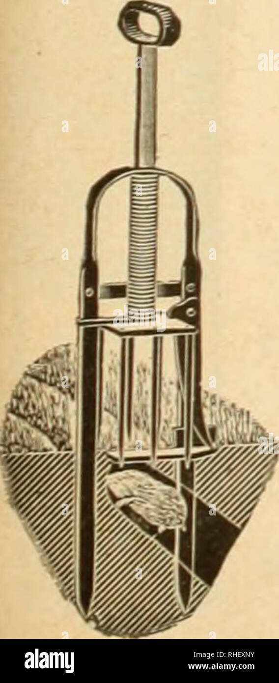 . Bolgiano in Capitol City Samen. Baumschulen (Gartenbau) Kataloge, Leuchtmittel (Pflanzen) Kataloge Kataloge; Gemüse; Garten Werkzeuge Kataloge; Samen Kataloge. Hand und Energie Mais Shellers Xo. 3 einzelne Bohrung Maisrebler - $ 16,25 Nr. 7 Doppelloch Maisrebler (für Hand- oder Power) - $ 36.75. Mole Fallen der Maulwurf verursacht große Verlust und Ärgern- ance an die Erzeuger und den Garten - ers. Eine Mole kann der Verlust eines ganzen Samen Bett in ein paar Stunden führen. Ein Maulwurf Falle fangen und sie zerstören. Wir garantieren Ihnen zufriedenstellend zu arbeiten. Preis "90 cts. Jedes Zweireihig Mais Pflanzmaschine Alle Pflanzmaschinen mit einstellbarer Drop p ausgestattet Stockfoto
