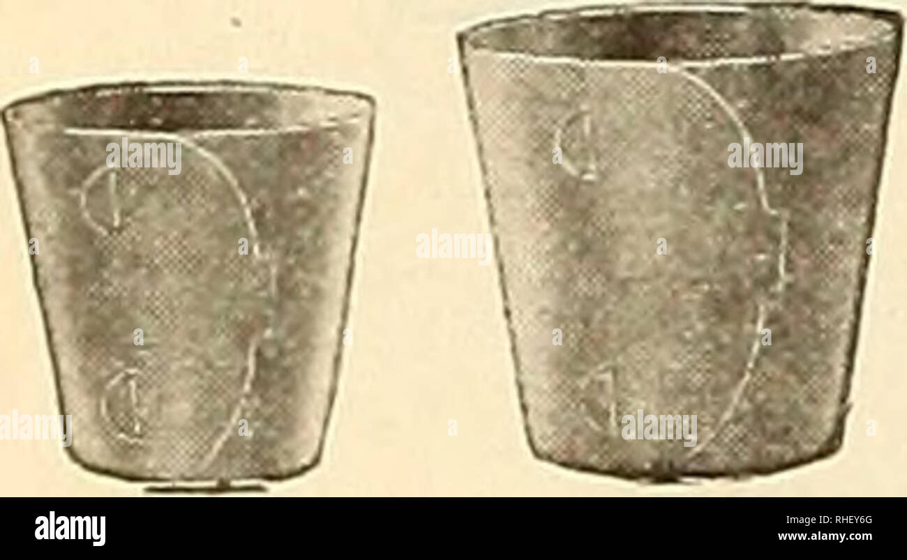 . Bolgiano in Capitol City Seeds: 1938. Baumschulen (Gartenbau) Kataloge, Leuchtmittel (Pflanzen) Kataloge Kataloge; Gemüse; Garten Werkzeuge Kataloge; Samen Kataloge Kataloge; Blumen; Geflügel Ausrüstungen und Zubehör Kataloge. Ea. . 02'/2 .03 .03. U 4 .07 2-Zoll. " 21/2-Zoll 3 Zoll 4 Zoll 5 Zoll 6 Zoll:. 10 7-16 8-22 9-33 10-Zoll 45-Zoll 90 L2 14-Zoll 1,40 16-Zoll 3,00 Untertassen Ea. Doz. 100 3-Zoll 02&gt;/2 4-Zoll 0,03 5-Zoll - 04 6-Zoll.06 7-Zoll 08 Innenmessung. .25 .30 .40 .55 .85 $ 2,00 2,25 3,00 4,50 6,75 Ea. 8-Zoll 12 9-Zoll 15 10 Zoll 23 12 Zoll 33 Doz. .20 .25 .30 .40 .75 Stockfoto