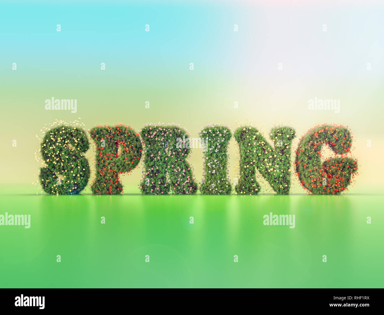 3D-Rendering von grasartigen Feder Wort mit Frühling Blumen auf farbigen Hintergrund Stockfoto