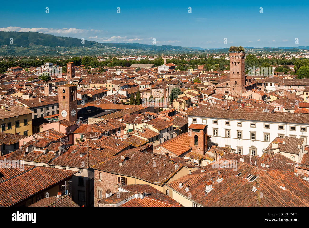 Luftaufnahme von Lucca, in der Toskana, der Turm auf der rechten Seite aufgerufen wird "Torre Guinigi" Stockfoto