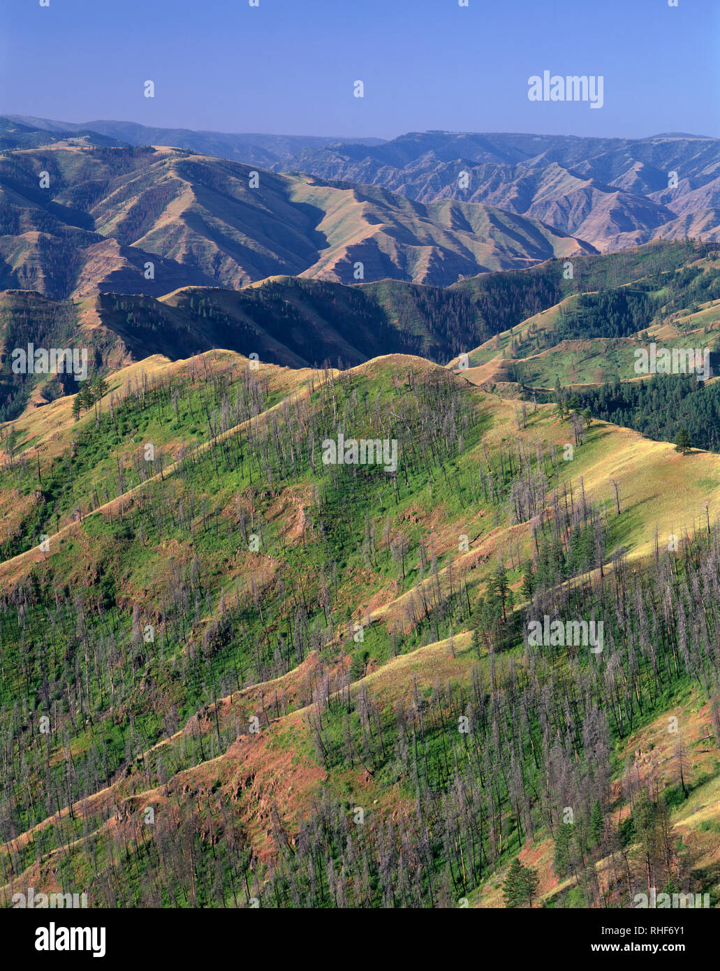 USA, Oregon, Hells Canyon National Recreation Area, südöstlich von Buckhorn Lookout in Richtung Bergrücken und Täler der Hells Canyon. Stockfoto