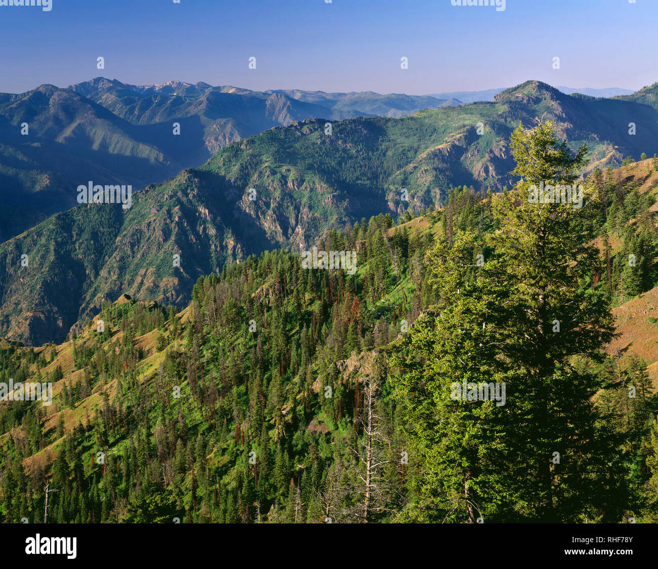 USA, Oregon, Hells Canyon National Recreation Area, Aussicht südlich von Hut Point zeigt, bewaldeten Bergrücken und Täler der Hells Canyon und fernen Gipfeln in Stockfoto
