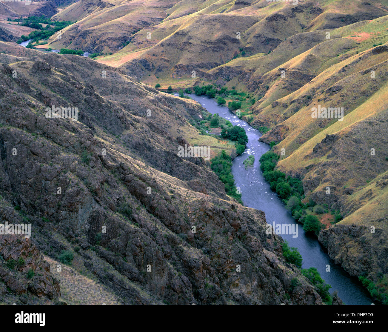 USA, Oregon, Hells Canyon National Recreation Area, den unteren Bereich der Imnaha River, einem FÖDERATIV "Wild und Scenic River', fließt Thro Stockfoto
