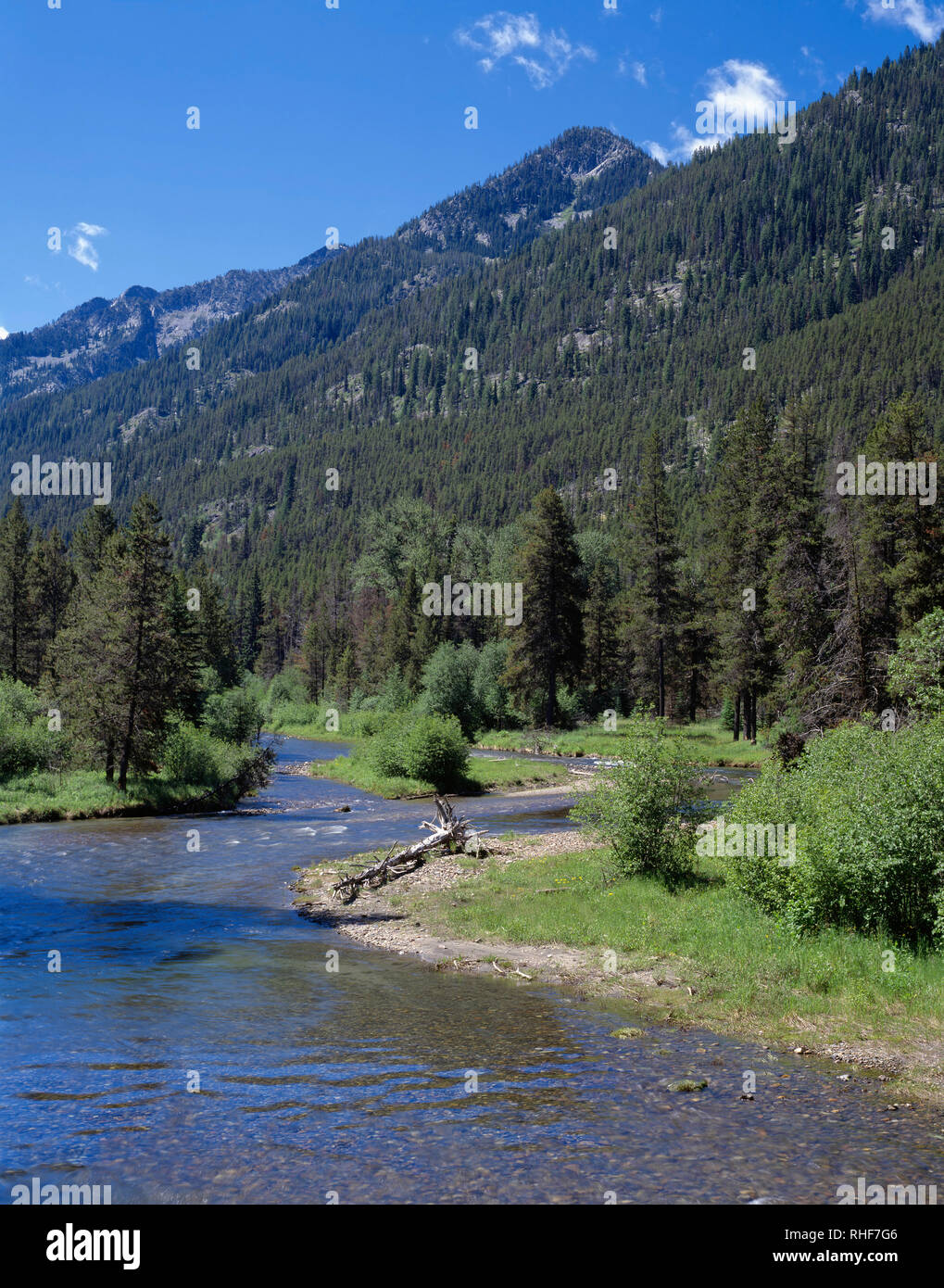 USA, Oregon, Wallowa-Whitman National Forest, Lostine Fluss und Wallowa Mountains. Stockfoto