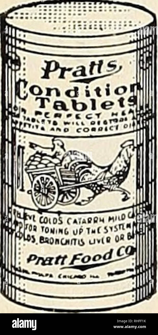 Bolgiano Von Baltimore Garten Guide 1928 Samen Maryland Baltimore