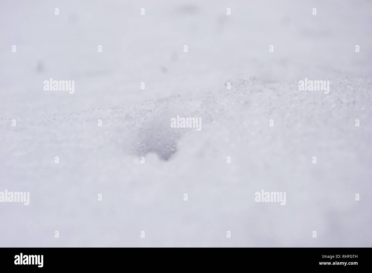 In der Nähe von Schnee, zeigen einzelne Kristalle und Footprint eines Tieres oder Dent/Vertiefung Stockfoto