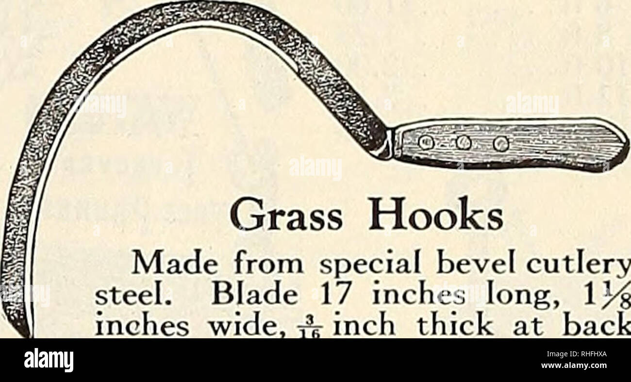 . Bolgiano von Baltimore garten Guide 1929. Samen Maryland Baltimore Kataloge; Gemüse Maryland Baltimore Kataloge; Baumschulen (Gartenbau) Maryland Baltimore Kataloge; Blumen Samen Kataloge; Gartengeräte und Zubehör Kataloge. Rasen Scheren Long-Handle Nr. 1062. Mit 2 Rädern, 36-Zoll-Griffe. Geschmiedeter Werkzeugstahl klingen. Kein zurück biegen. Mailing Gewicht, 10 lbs 4 $ je. Von speziellen Kegelrad besteck Edelstahl gefertigt. 17 cm lange Klinge, IJ^ Zoll breit, ein Zoll dick an der Rückseite verjüngt sich scharfe Kante. In Rot Duco Emaille beendet. Genieteten Griff aus - von Blade. 40 cts. Jedes. 7-In. 8-In. 9-In. Stockfoto