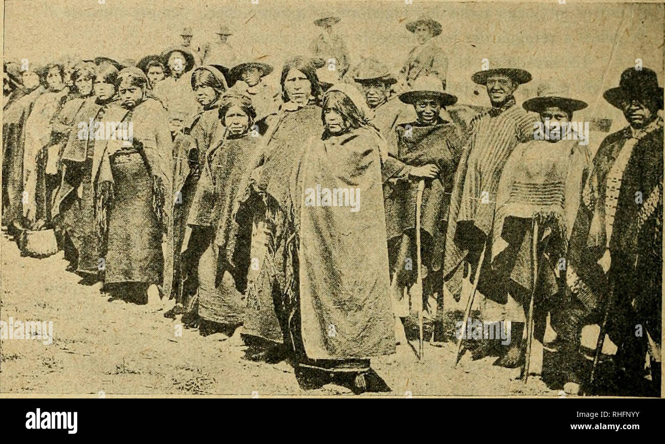 . Boletín del Museo Nacional de Chile. Natural History. 186 boletín del Museo Nacional En el San Blas de la Chueca entra La Lucha ich La Carrera; fuera de Ella no se acostumbra ni la una ni La Otra. Los araucanos, keinen Sohn como Los antiguos combatían gladiadores, que con Armas mortíferas para satisfacer La grausame curiosidad de la multitud; Ni como Los Hijos Del Támesis, qué dan Grande importancia Al pujilato, ein "Que llaman pomposamente defensa Persönliches. Abb. N." 54, partirla Iirando una de Chueca La partida Dura de ordinario una Tarde, Pero a veces se prolonga por Varios días consecutivos. Cuand Stockfoto