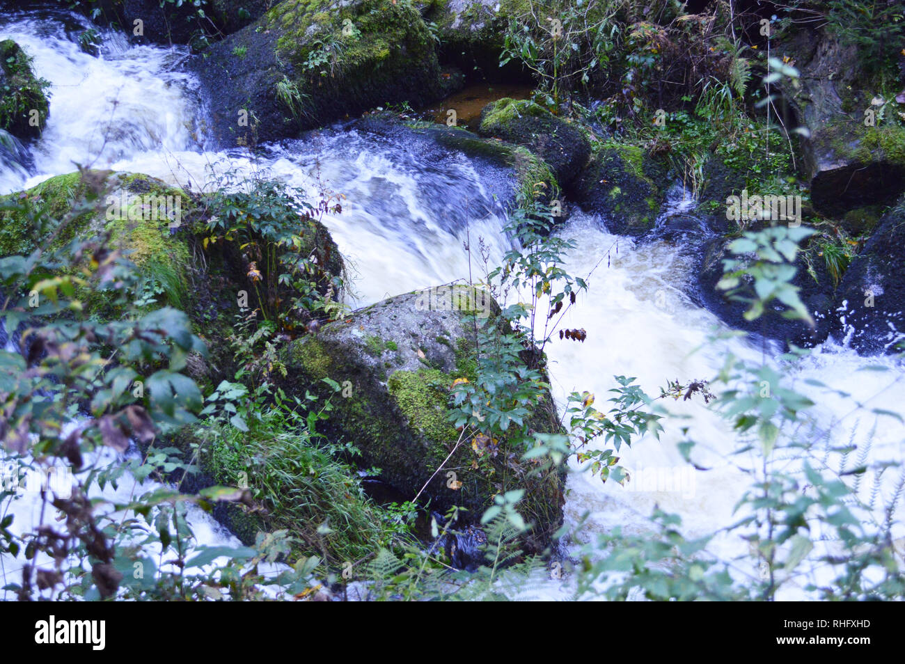 Fliessende wasserbilder