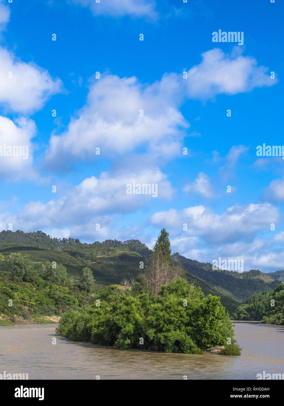 Moutoa Insel, der eine wichtige Schlacht im Jahre 1864, zwischen Whanganui Maori, während Neuseeland Kriege, Whanganui River, North Island, Neuseeland Stockfoto