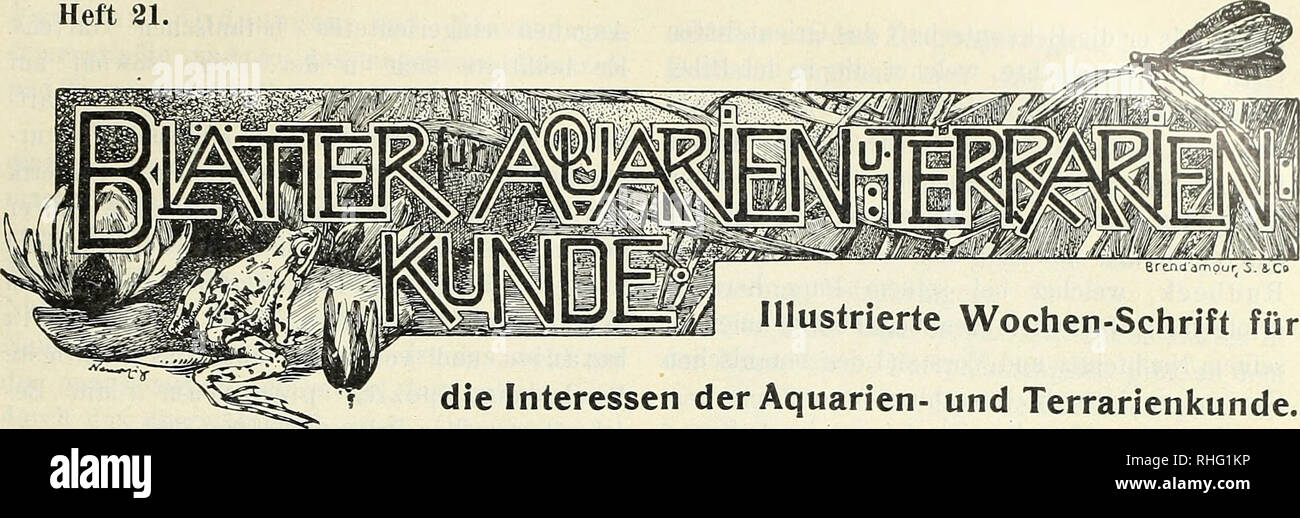 . BlÃ¤tter für Aquarien- und Terrarien-Kunde. Jahrgang XVIII. Heft 21.. Brtnd' arnour 5. Ein, Co 1550 Wochen-Schrift für die vitalen Interessen der Aquarien- und Terrarienkunde. Karl von Linne. (Zum 200. Geburtstage des âVaters der Systematik".) uns allen Erdteilen strÃ¶men morgen Ge - Lehrter und Vertreter zahlreicher Universi- tÃ¤ten inÃ¼psala zusammen, um die zweihundert - jÃ¤jährige Geburtstagsfeier Karl v. Linnes, des hervorragendsten Botanikers und grÃ¶Ãten Syste-matikers aller Zeiten, in wÃ¼rdiger Weise fest-lich zu begehen. Karl von Linne wur-de bin 24. Mai (dm 13 / Ã¤lterer Zeit- Stockfoto