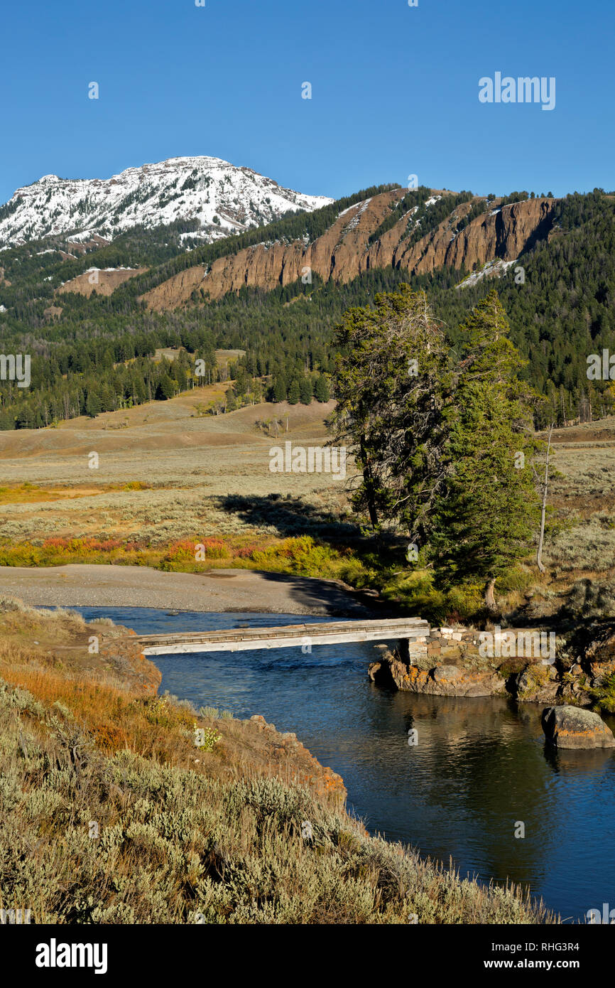 WY 03092-00 ... WYOMING - Trail Brücke über Soda Butte Creek im Lamar Valley Gebiet des Yellowstone National Park. Stockfoto
