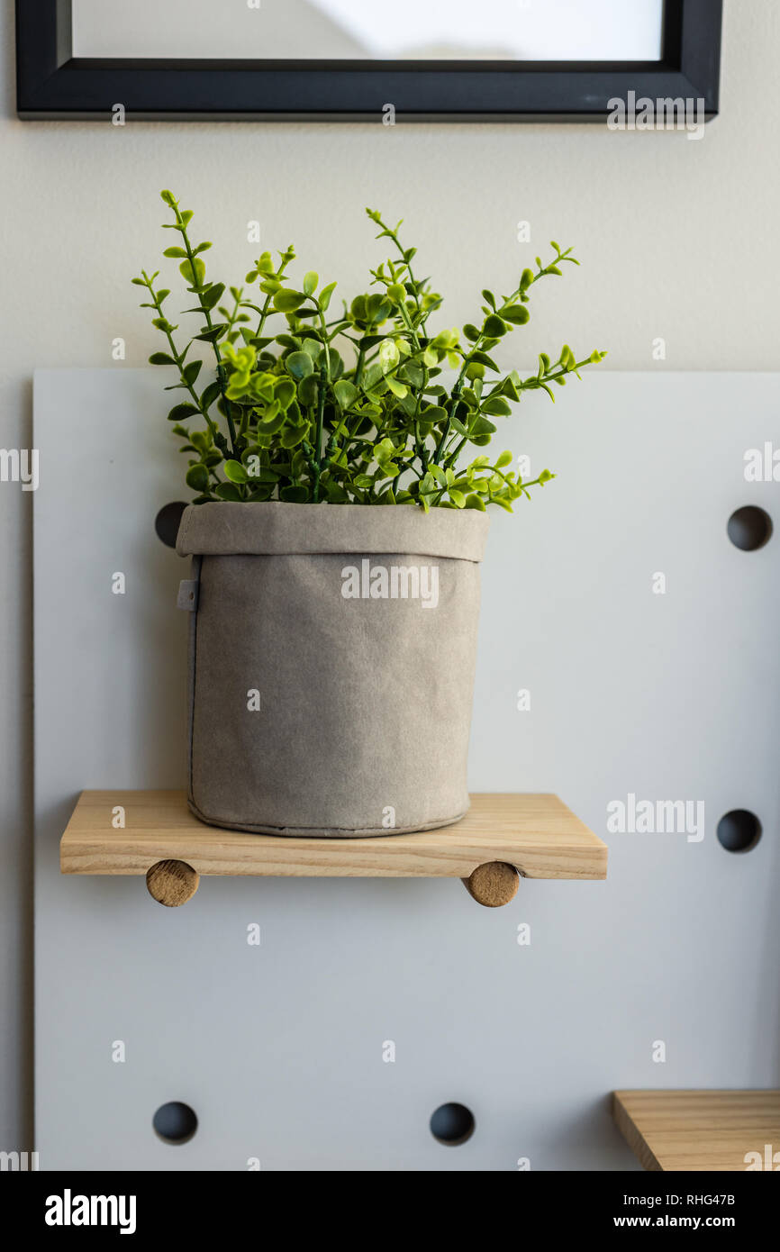 Pflanzen auf Regal Stockfoto