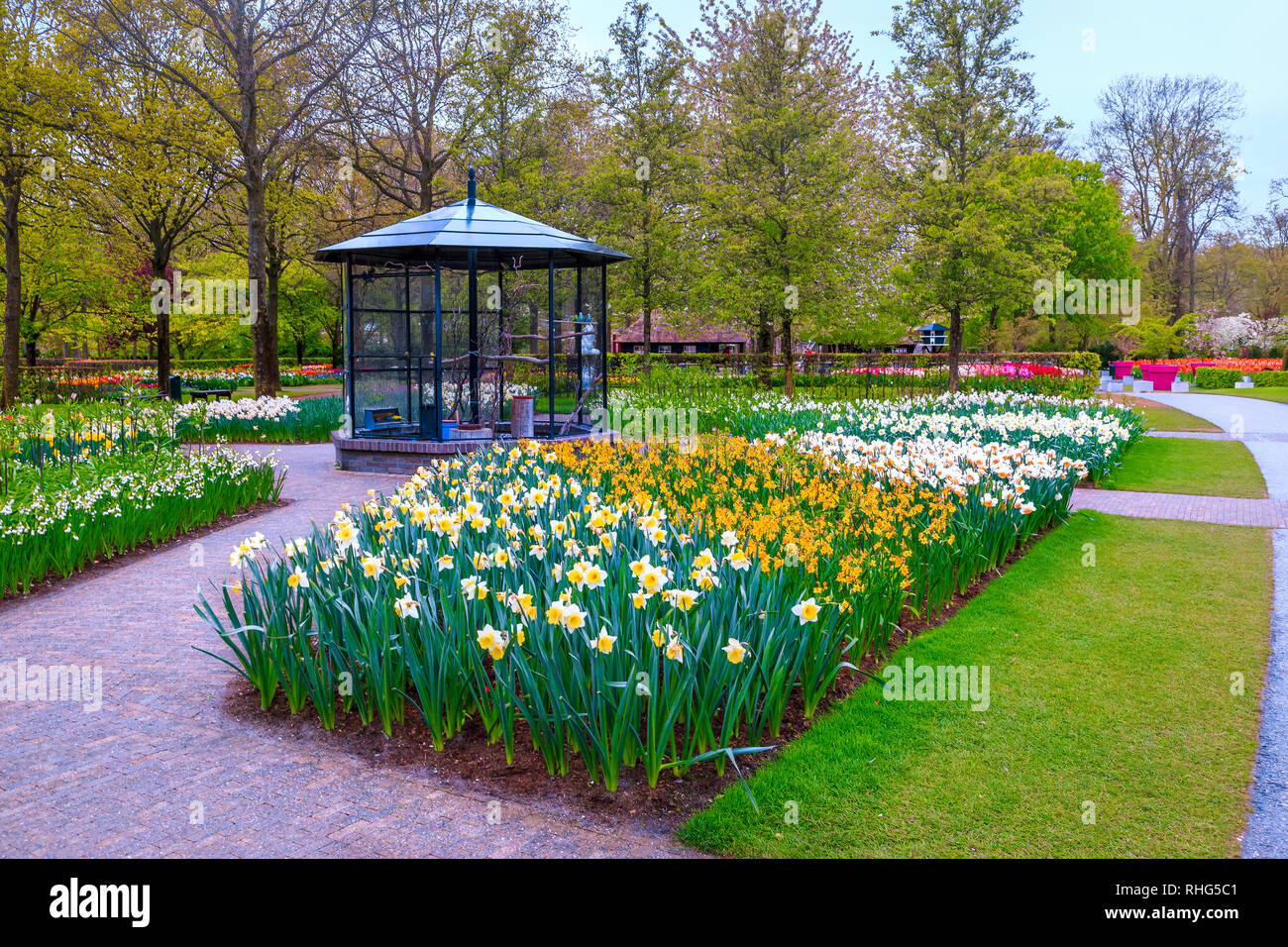 Tolles Reiseziel. Majestic bunte Frühlingsblumen mit Voliere und Gehweg in der fantastischen touristischen Garten, Lisse, Niederlande, Europa Stockfoto