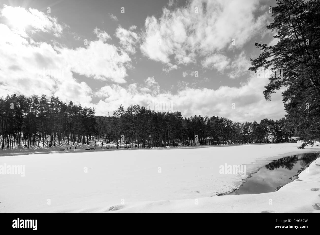 Wunderschöne und idyllische Tag der Winter im Wald Stockfoto