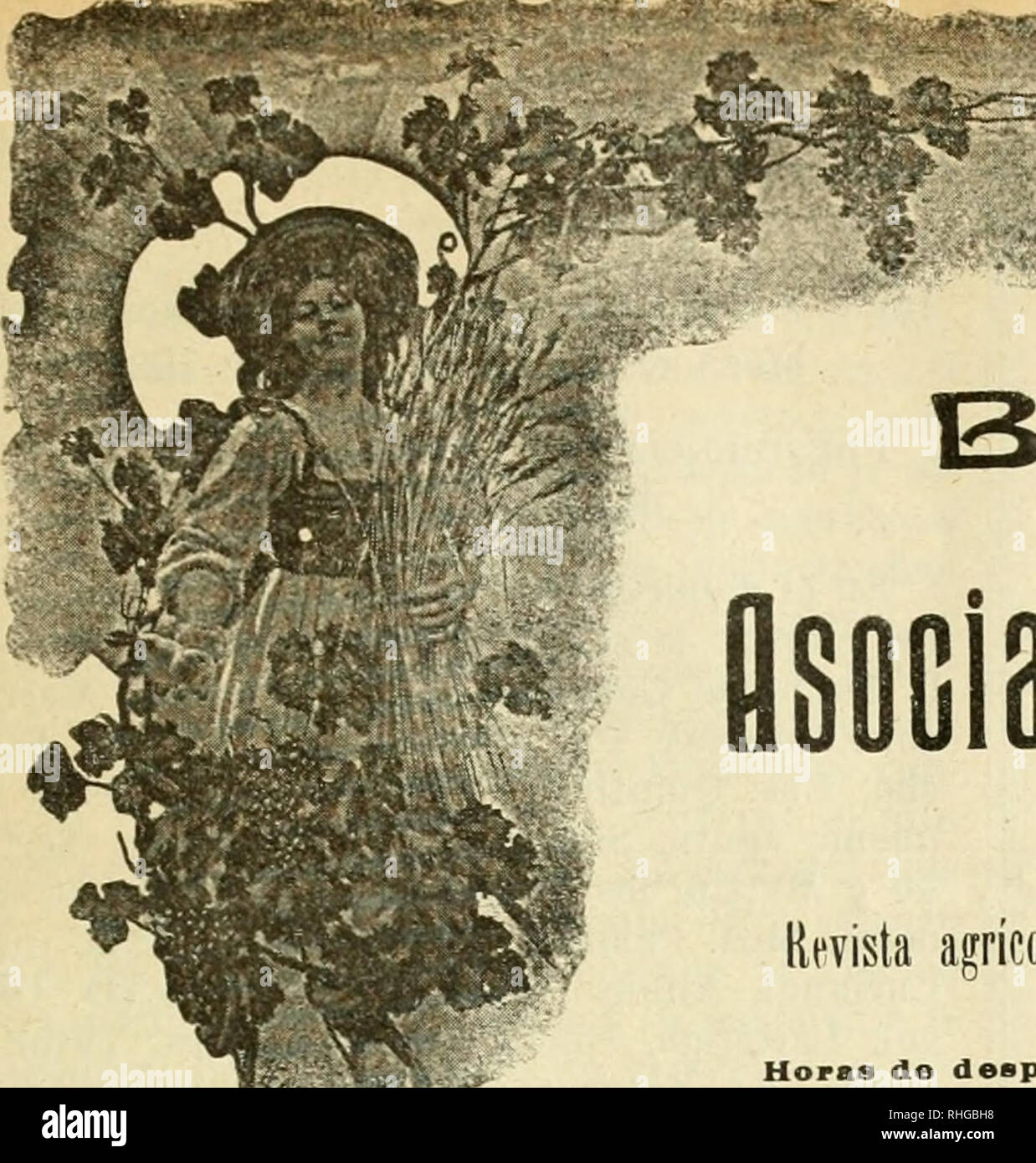 . Boletn de la Asociacin de Labradores de Zaragoza. Landwirtschaft - - Spanien ZARAGOZA. ni^o XXII. * Fiucn. 225 ^^m BOL^ ETlN l A'''^y - y flüociacidn de Lamaiioiei) DE ZARAGOZA Revista agrícola mensual gratuita para todos los señores de socios Hopas despaobo: En las Piña, por la ruaSaiia úe Duevea una y por la tarde de Cuatro ein Seis; en los Almacenes, por la mañana de una y por la tarde de tres ein Cinco siete. No se Abre los Días festivos. Dlrij &Amp; se Toda la Administración eine Nombre del Sr. Presidente de la Asoclacidn FRANQUEO concertado Gran Premio y Diplom de^ aufoder en la Cxposiciin hispa Stockfoto