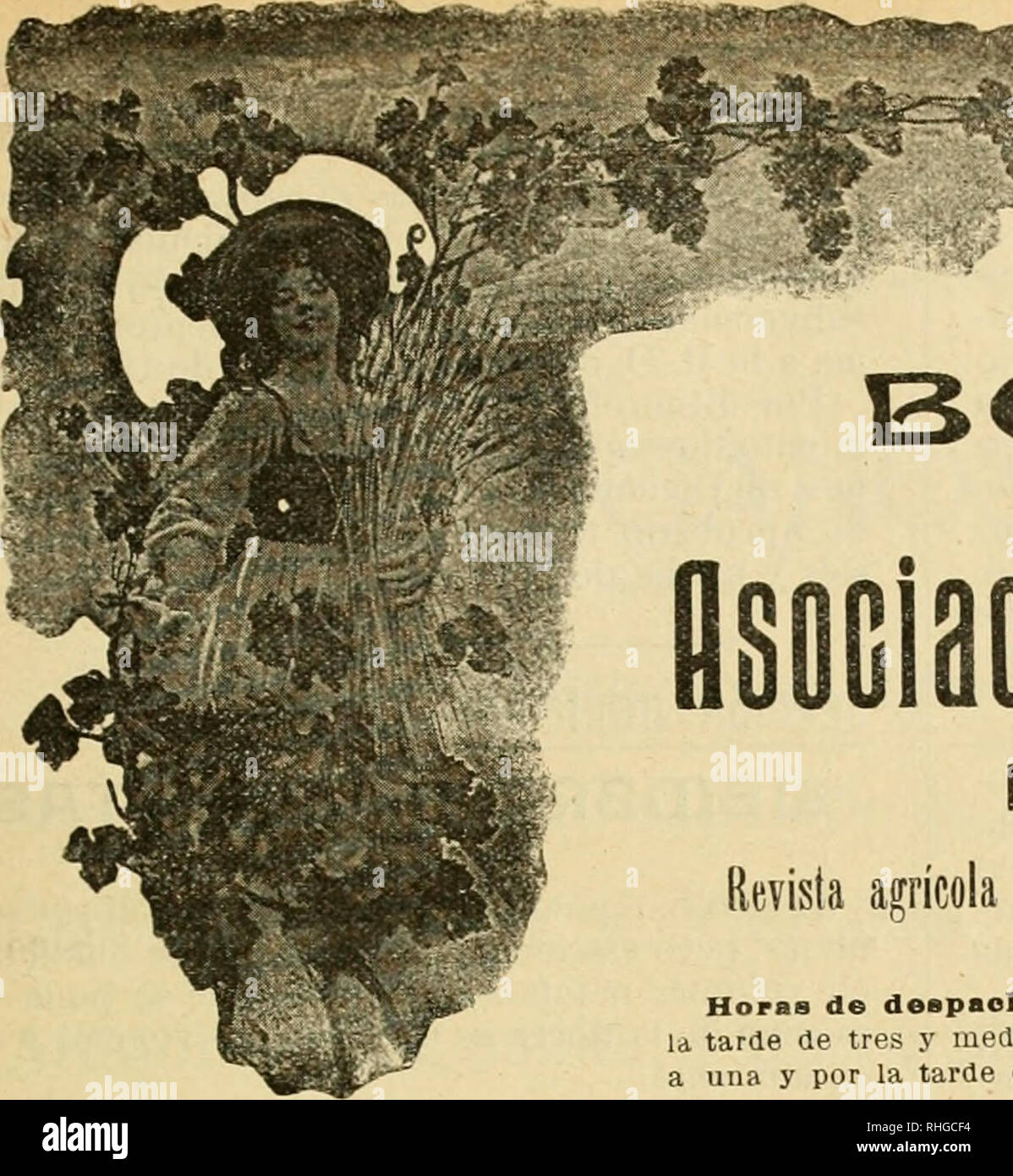 . Boletn de la Asociacin de Labradores de Zaragoza. Landwirtschaft - - Spanien ZARAGOZA. AlSlO XXII. * Núm. 222^í ^f^BOliiETlN DE UA Hsoclaclllii de Laliiaiioiiiü agrícola DE ZARAGOZA Revista mensual gratuita para todos los señores socios Horas De deapacho: En las Oflelnaa, por la Duevea mañaua de una y por la tarde de tres y Media ein Cinco; en los Almaoonoa, por la maiiana de Siete ein una y por la tarde de tres ein Cinco. No se Abre los Días festivos. Dlrijsse toda U Administración eine Nombre del Sr. Preildente de la Asociación. FRANQUEO concertado Gran Premio y Diplom de^ aufoder en la exposición hispa Stockfoto