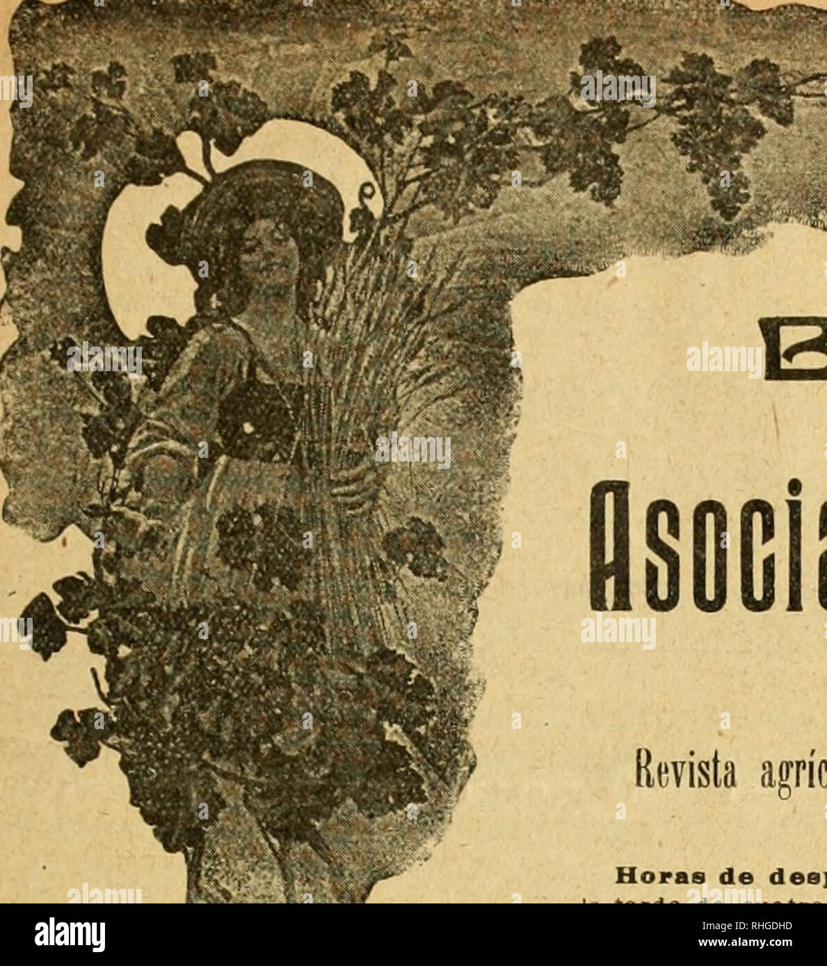 . Boletn de la Asociacin de Labradores de Zaragoza. Landwirtschaft - - Spanien ZARAGOZA. RñO XXI. * NÓm. 217^^. - Í Í&amp;' M^BOlaEXlN DE. Los Angeles flsociacioii de LaDiailoies agrícola DE ZARAGOZA Revista mensual gratuita para todos los señores socios Horas de despacho: En las Piña, por la mafianade Nueve eine una y por la tarde de Cuatro ein Seis; en los Almacenes, por la mañana de una y por la tarde de tres Ein seis Siete. No se Abre los Días festivos. Dlrijsse Toda la Administración eine Nombre del Sr. Presidente de la AsoolacióD. FRANQUEO concertado Gran Premio y Diplom de^ aufoder en la exposición hispa Stockfoto