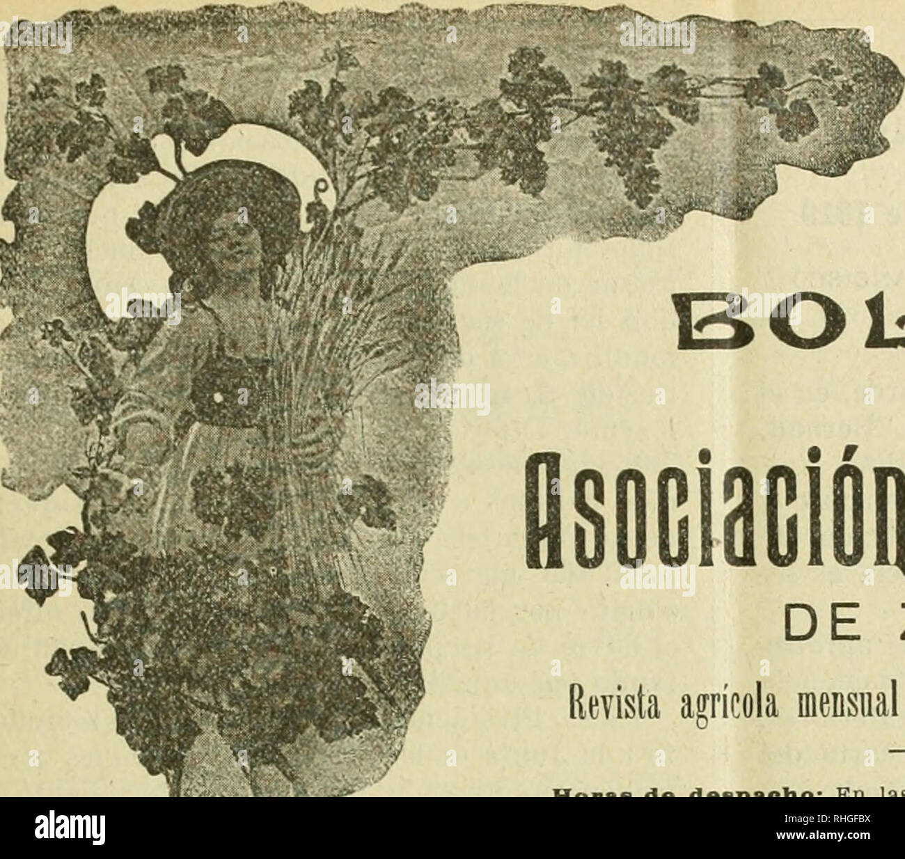 . Boletn de la Asociacin de Labradores de Zaragoza. Landwirtschaft - - Spanien ZARAGOZA. AlSIO XIX. "Núm. 193 BOlaETlN de:;'!| a nsoGiaclliii le Latiaiioies DE ZARAGOZA Revista gratuita para todos los señores socios mensual agrícola Horas de despacho: En las Oflolnae, por la maQaua de Diez ein una y por la tarde de Cuatro ein Seis; en los Almacenes, por la maiiana de una y por la tarde de tres Ein seis Siete. No se Abre los Días festivos. Diríjase Toda la Administración eine Nombre del Sr. Presidente de la Asociación. FRANQUEO concertado Gran Premio v Diploma de^ aufoder en ia exposición Hispano • Francesa Stockfoto