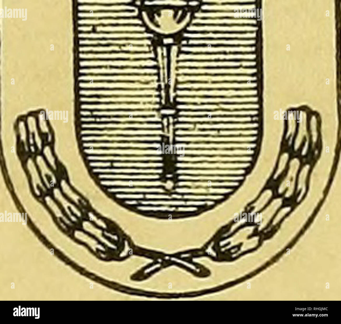 . Boletin de la Sociedad de Biología de Concepción. Sociedad de Biología de Concepción; Biologie; Biologie. boletín DE LA SOCIEDAD DE BIOLOGÍA DE CONCEPCIÓN. TOMO XL CONCEPCIÓN 19 7 0 Sep 21 1971. Bitte beachten Sie, dass diese Bilder sind von der gescannten Seite Bilder, die digital für die Lesbarkeit verbessert haben mögen - Färbung und Aussehen dieser Abbildungen können nicht perfekt dem Original ähneln. extrahiert. Sociedad de Biología de Concepción; Sociedad de Bioquímica de Concepción; Universidad de Concepción. Concepción [Universidad de Concepción] Stockfoto