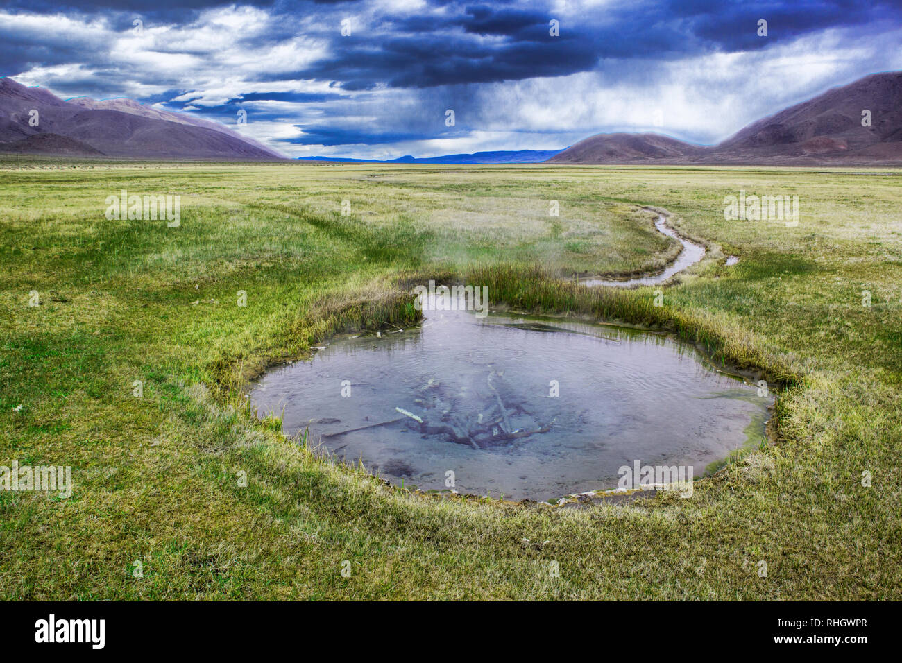 Hotsprings mit Überresten einer pronghorn Antilope im nördlichen Nevada Stockfoto