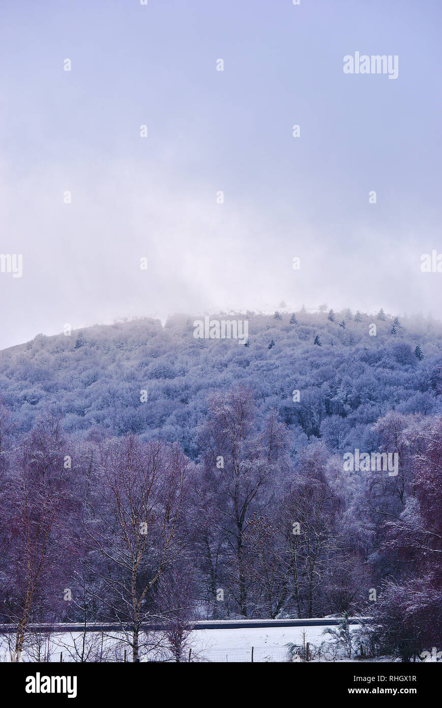 Kampagne Snowy in der Auvergne in der Nähe von Clermont Ferrand, Bäume in Violett eingefroren - Blau Stockfoto