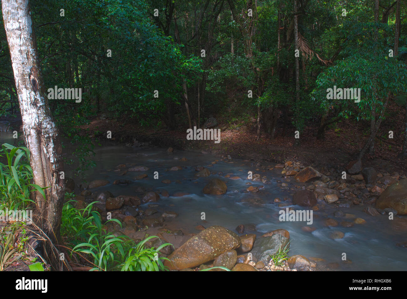 Camping am Mt Warning, New South Wales, Australien Stockfoto