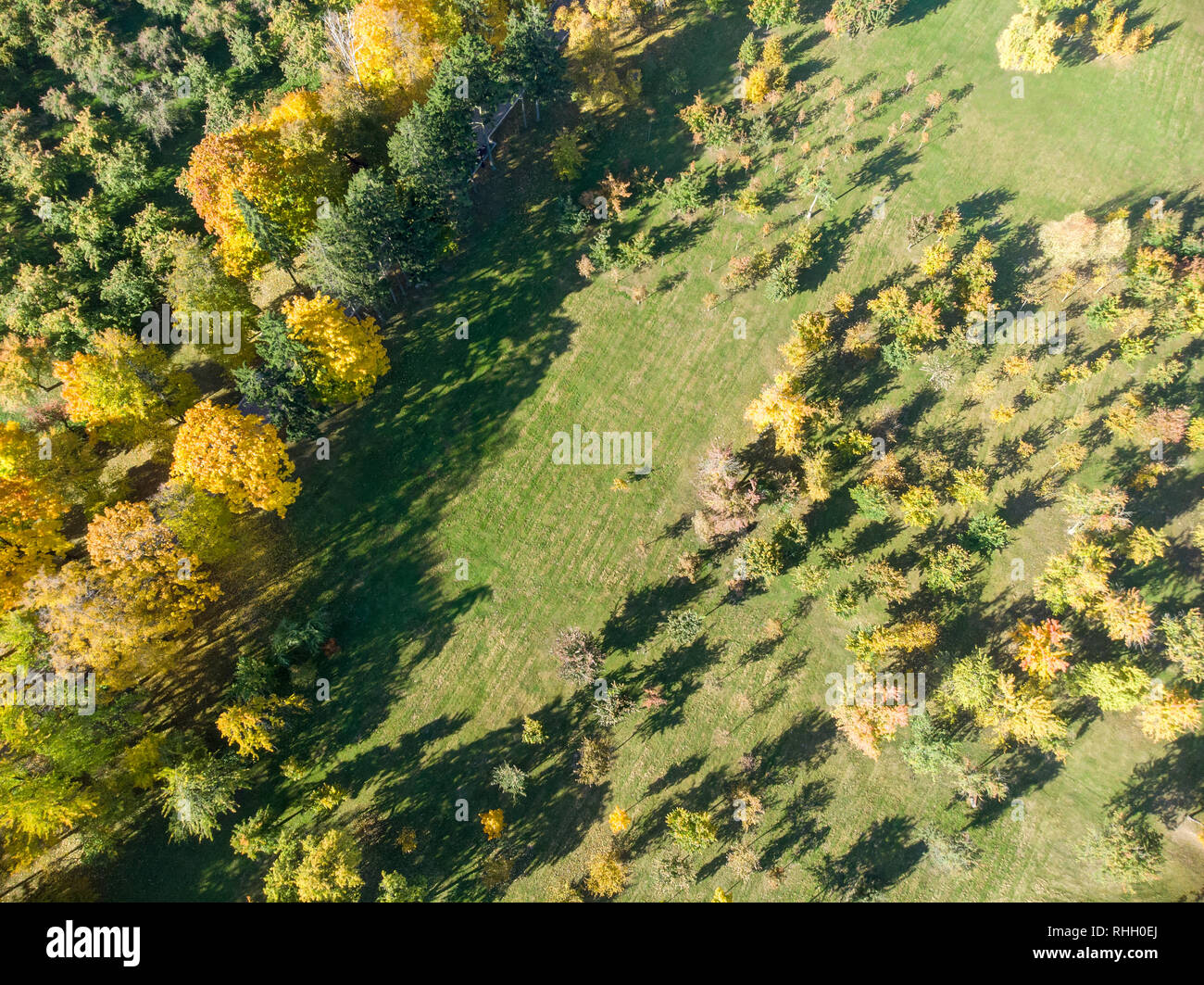 Luftbild des Parks im Herbst Saison. park Bäume mit bunten gold Laub Stockfoto