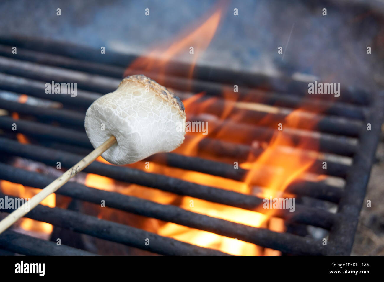 Marshmallow auf hölzernen Stock Brand über dem Lagerfeuer grillen Flammen  Stockfotografie - Alamy