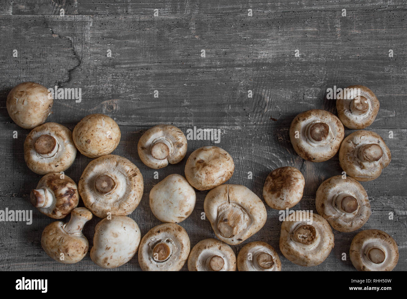 Pilze Champignon auf Schreibtisch aus dunklem Holz top Layout anzeigen Stockfoto