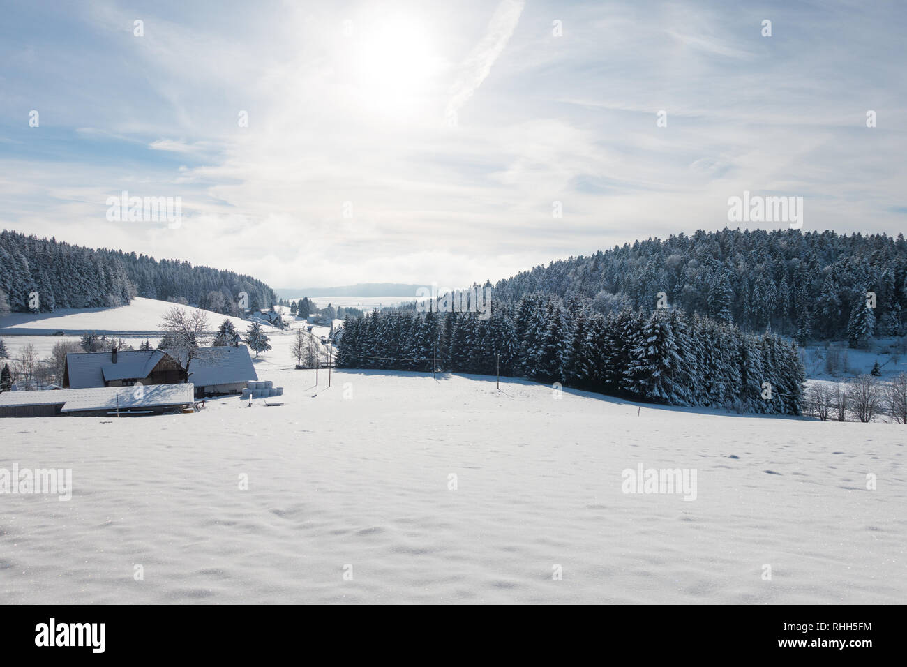Schwarzwald im Winter Stockfoto