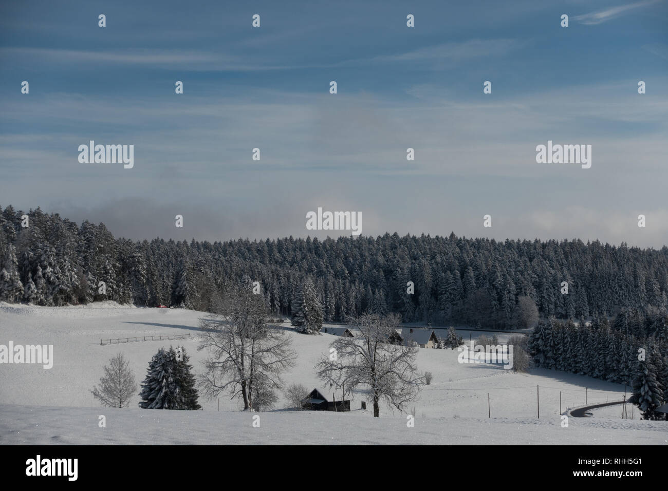 Schwarzwald im Winter Stockfoto