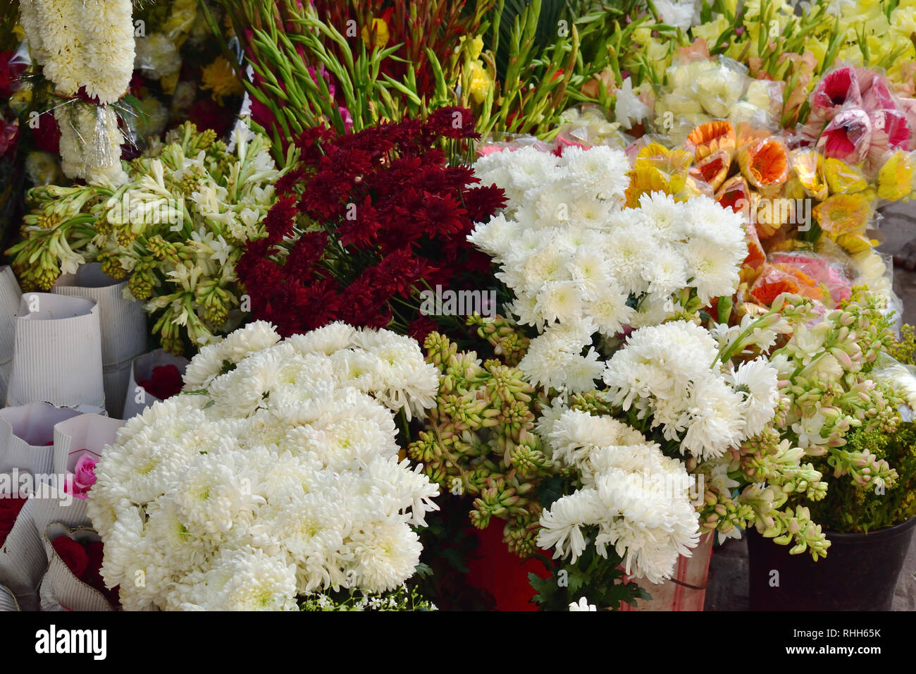 Schöne bunte Blume für Verkauf Stockfoto