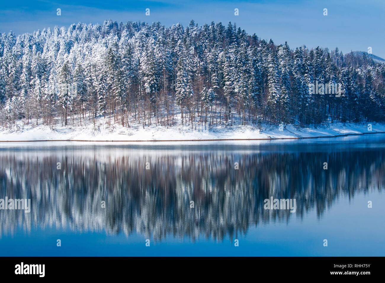 Reflexion von Holz im See in Gorski kotar Kroatien, schöne Landschaft im Winter Stockfoto