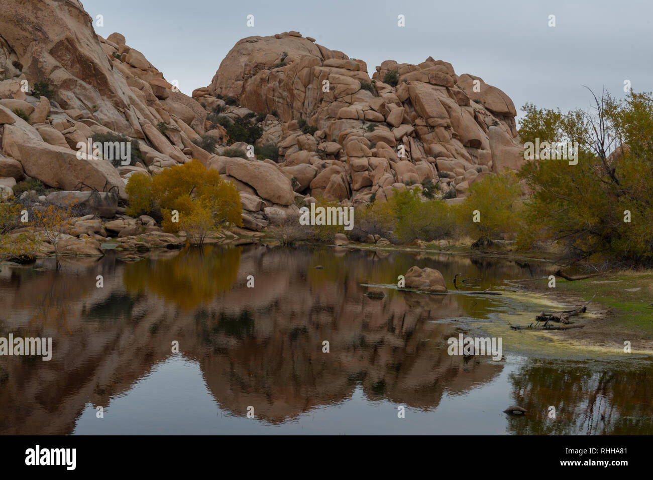 Reflexion der Berge im Wasser eines Sees bei Barker Staudamms in Joshua Tree National Park, Kalifornien, USA Stockfoto