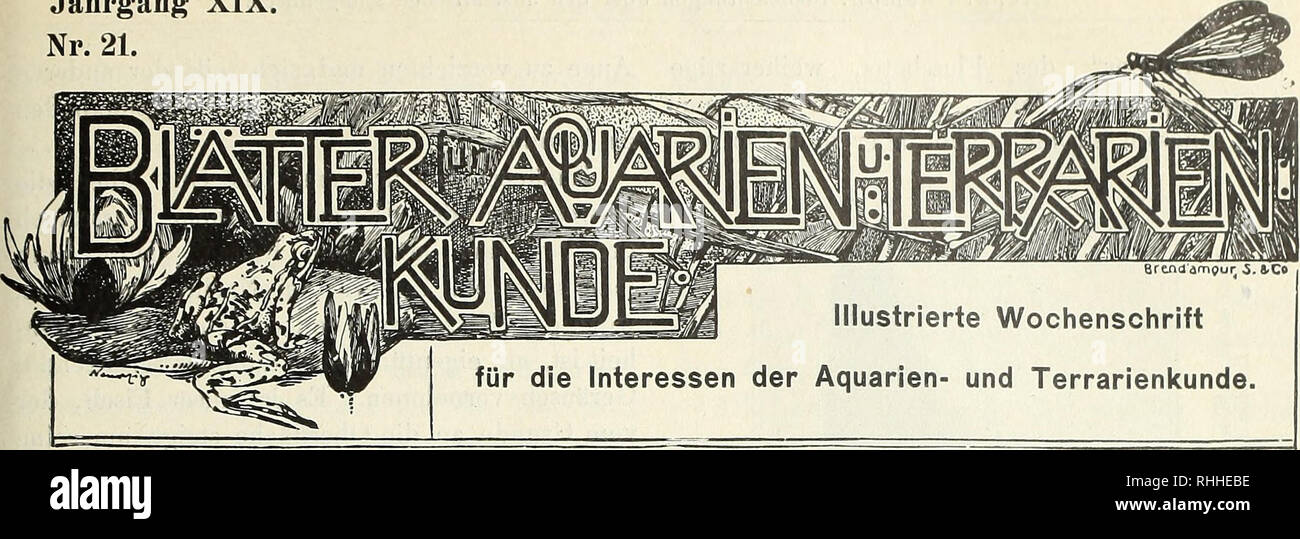 . Blätter für Aquarien- und Terrarien-Kunde. Jahrgang XIX. Nr.21.. Beobachtungen über den australischen Lungenfisch im Freileben und in der Gefangenschaft. Von Richard Semon. Skizwillingen über die Stellung eines Geschöpfs unter-Mitgeschöpfen in Gegenwart und Vergangenheit unseres Planeten oder, wie Huxley es zusammenfassend ausdrückt, über seine Stel-lung" in der Natur, gibt uns weder allein sterben anatomische henkes lolland Thunfischwadenfänger gefunden worden, der besagte, noch deren Entwicklungsgeschichte, weder allein sterben vergleichende Anatomie noch sterben, Paläontologie, weder die experimentelle Forschung für sich noch ein Stockfoto