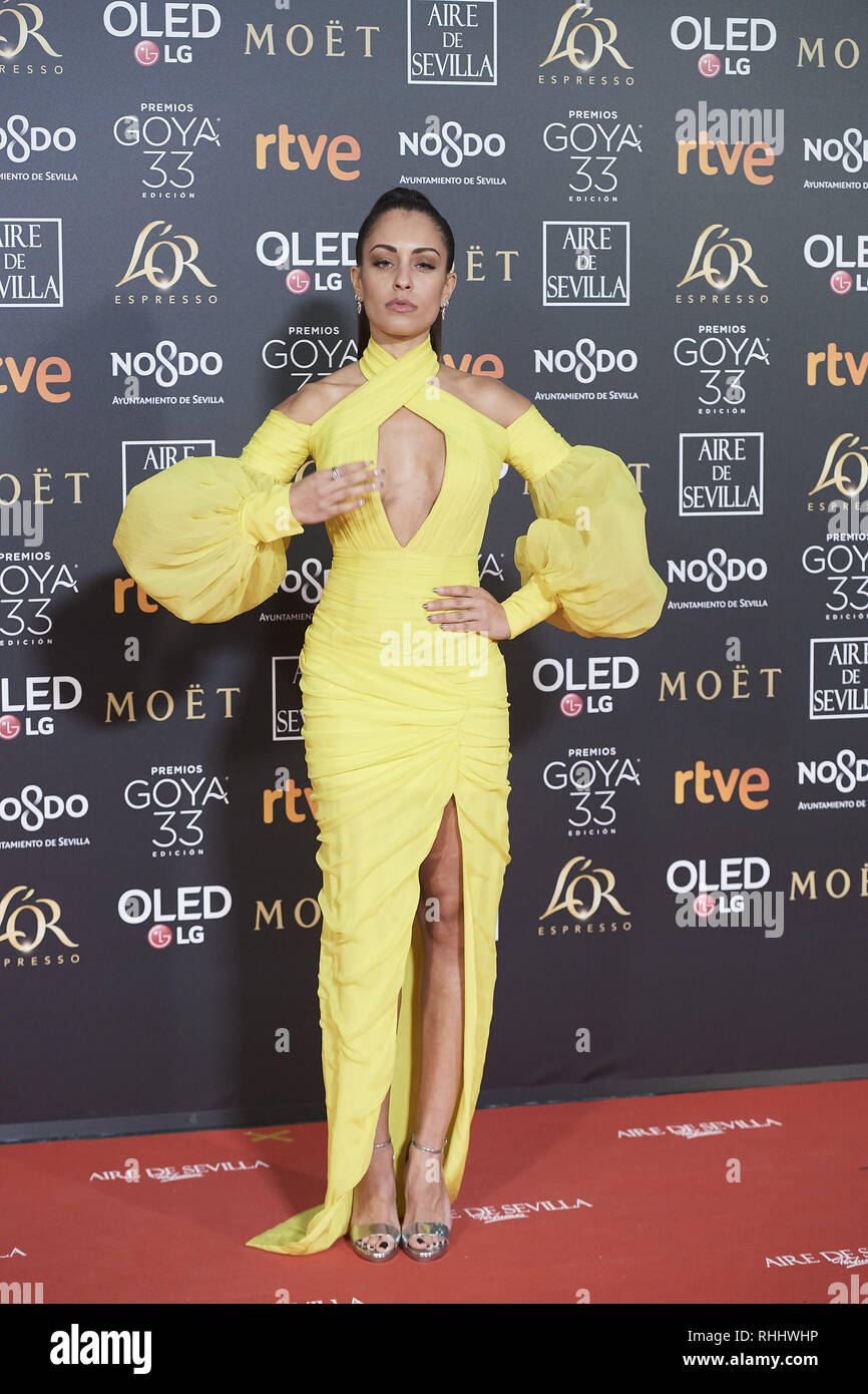 Sevilla, Andalusien, Spanien. 2 Feb, 2019. Hiba Abouk besucht 33. Goya Kino Awards 2019 im Palacio de Congresos y Exposiciones fibes am 2. Februar 2019 in Sevilla, Spanien Credit: Jack Abuin/ZUMA Draht/Alamy leben Nachrichten Stockfoto