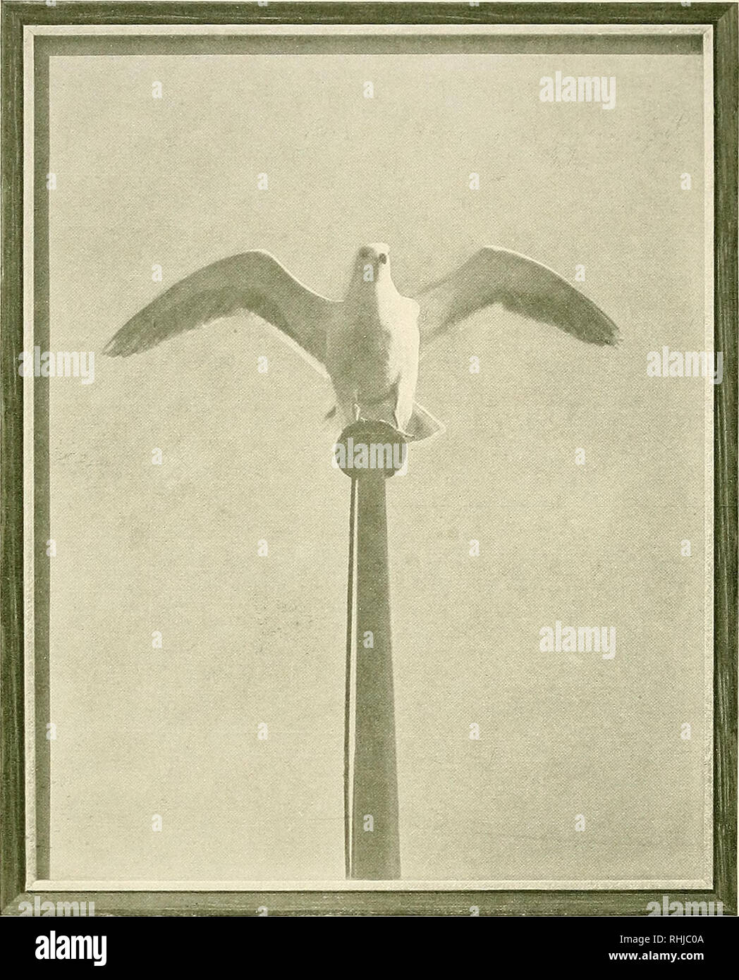 Get Ziellosigkeit Desktop Wallpaper Ziellosigkeit