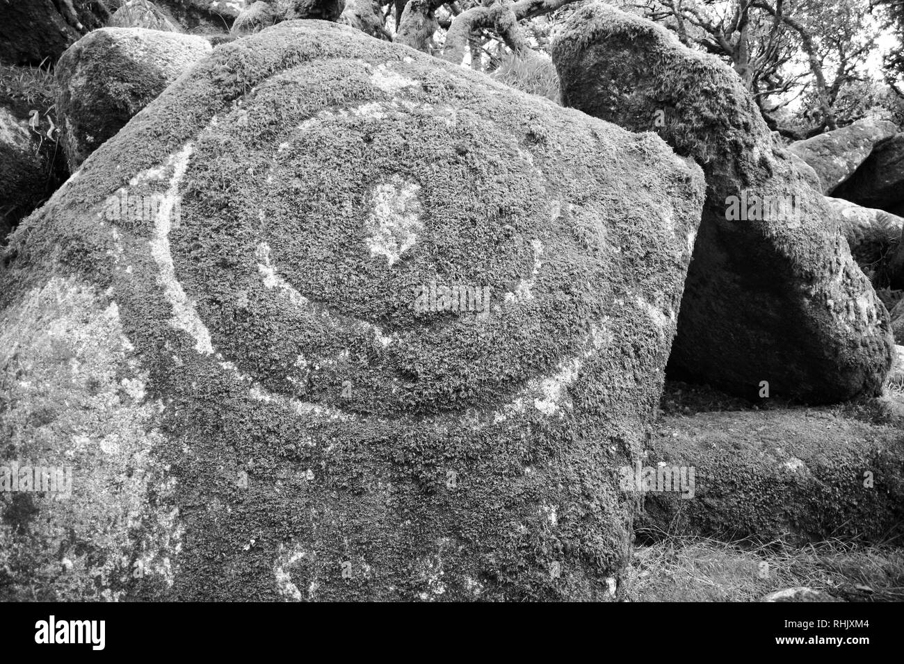 Spiralförmige Muster geschnitzt in einem Moos bedeckt Granitblock in Wistmans Holz. Märchenhafte Magie. Dartmoor, Devon, Großbritannien. Stockfoto